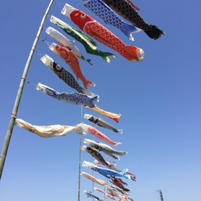 空高く舞う鯉のぼり