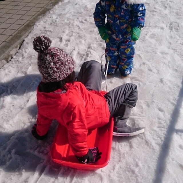 バタバタとした2月
