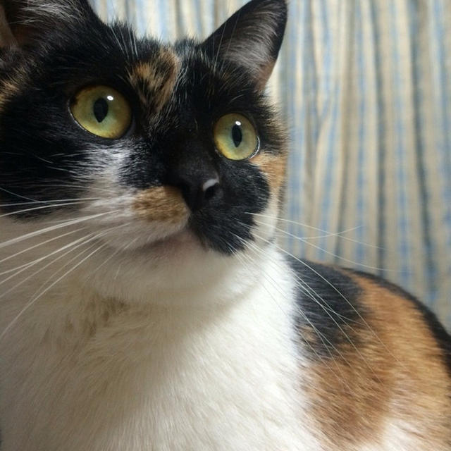 お久しぶりです。