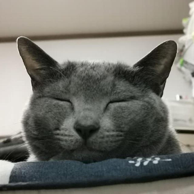 お昼寝から目が覚めたら