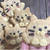 丸い猫のクッキー～DAISOの太巻&細巻型を使って