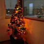 クリスマスパーティ　2012