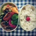 *お弁当・１２月５日～９日　5日分公開。