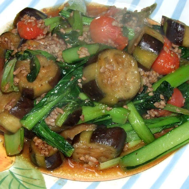 トマトと茄子の味噌風味＆大根と鶏肉の甘辛煮
