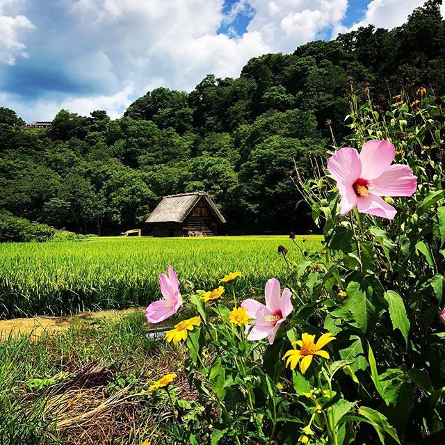 【Instagram】#白川郷 #shirakawago #summervacation #nostalgic