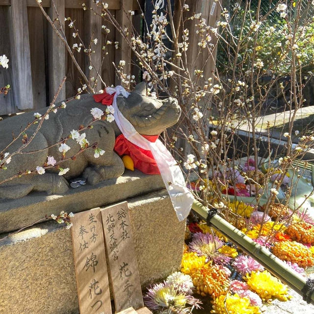 京都　北野天満宮から金閣寺まで巡り巡った一日