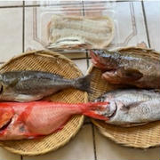 日本からの魚のお取り寄せ＿2025年6月＿金目鯛で四品＆鱧のお吸い物