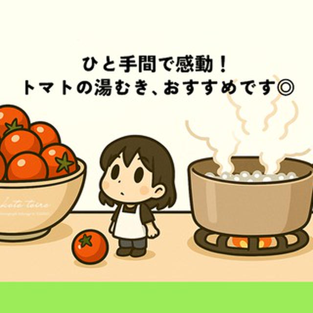ひと手間で感動！トマトの湯むきおすすめです◎
