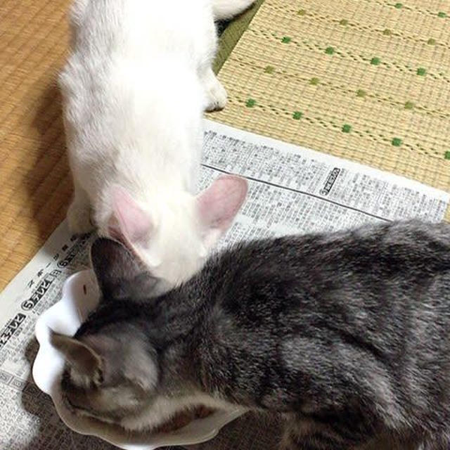 すくすく成長中