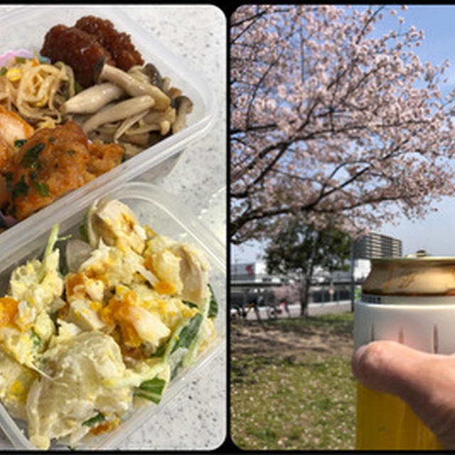 ２回目のお花見ぃー