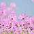 ＣＯＳＭＯＳ2013　