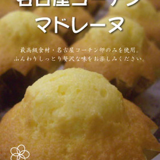 POPとプライスカード作り