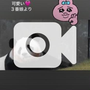 パンダ