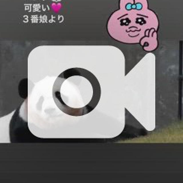 パンダ