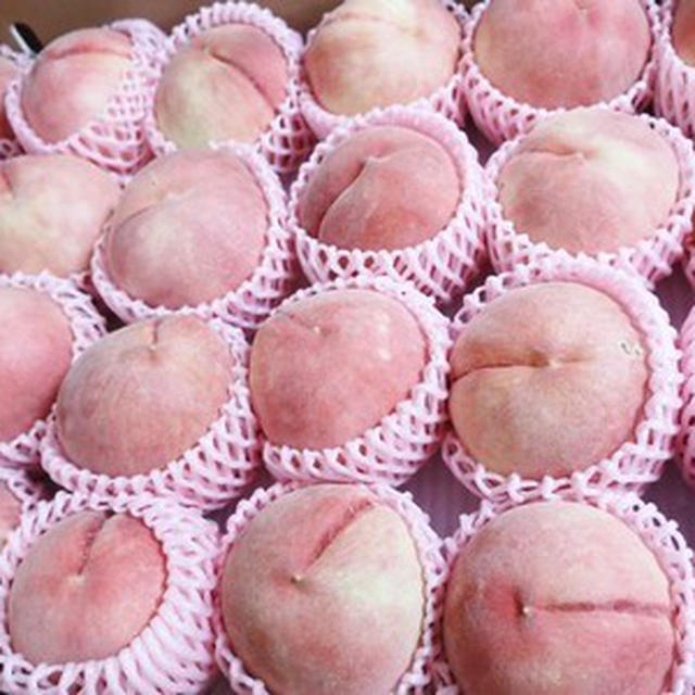 フルーツがいっぱい～ｖ（＾０＾）/