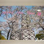 ☆もう迷わないプリンター！EPSON -colorio-☆