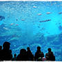 ■『仙台うみの杜水族館』のペア入館券が当たった♪ (・∀・)v■