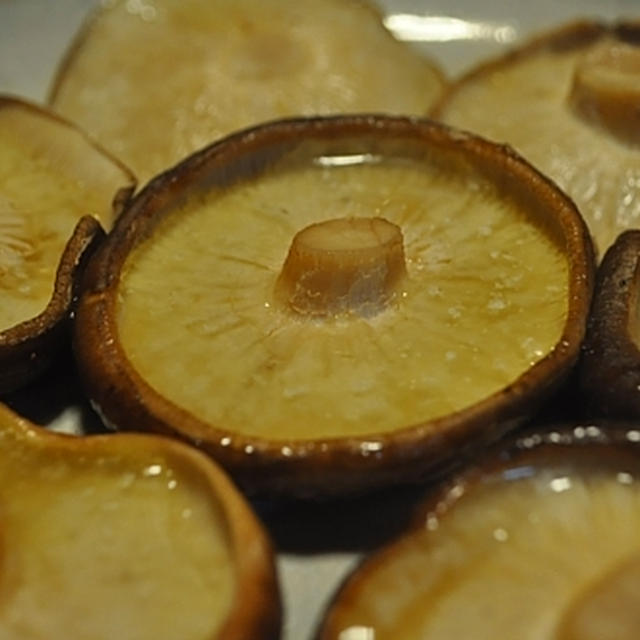 伊豆の原木椎茸