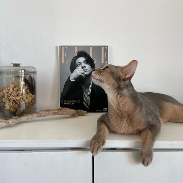 秋とは思えない暑い日のひとりごはん&平野紫耀くんのエル・ジャポンが届いた