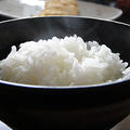 島根県斐川町産 きぬむすめご飯