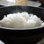 島根県斐川町産 きぬむすめご飯