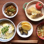 豚汁・中華丼・竹の子ごはん / 猫のお見舞い