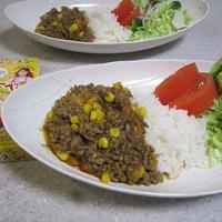 １０分で本格カレー