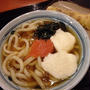 明太あんかけとろろうどん