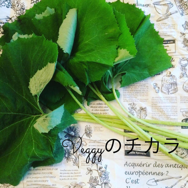 ベジーのチカラ、野蕗（のぶき）