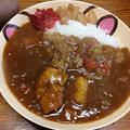 カレーライス。カレーうどん。ひけた鰤。くつろぐあんこ