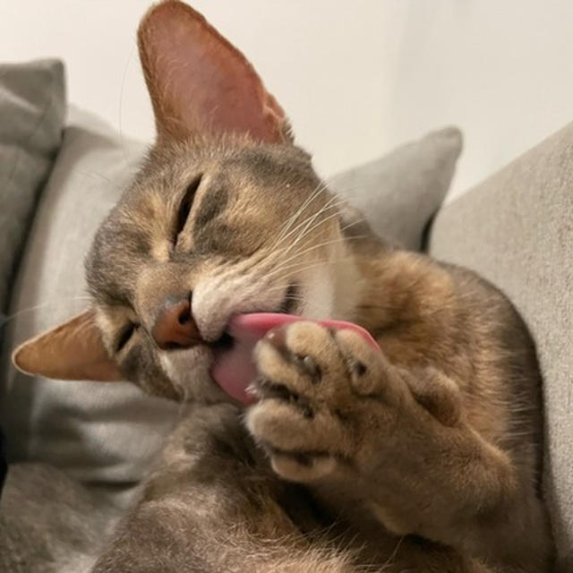んべんべマン