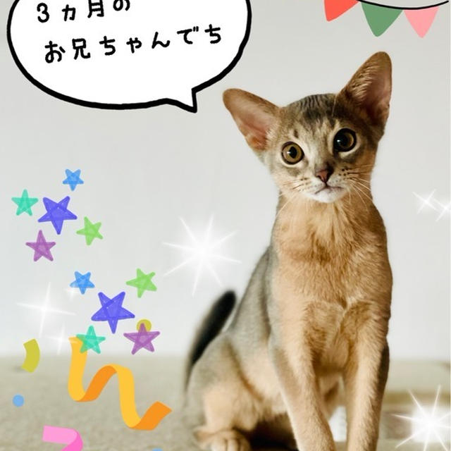 わか男、3ヵ月になりました♪