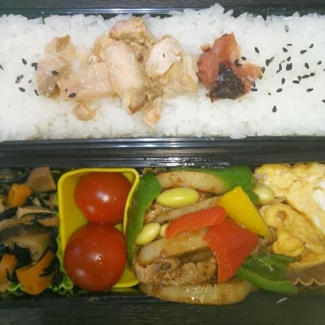 男の昼夜彩りバランス弁当☆