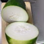 冬瓜（とうがん）若い頃どうでもよかった野菜