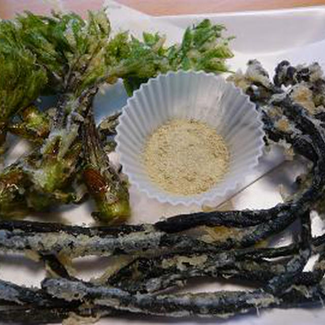 頂き物の山菜で天ぷら2種類 と 気になるドラマ By イエ呑みママさん レシピブログ 料理ブログのレシピ満載
