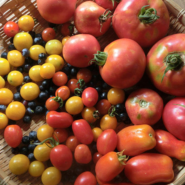 夏野菜もそろそろ後半戦!?