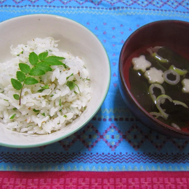 春の味覚part１★/絶品山椒としらすご飯と山椒塩（これおすすめ）