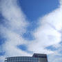 今日の空