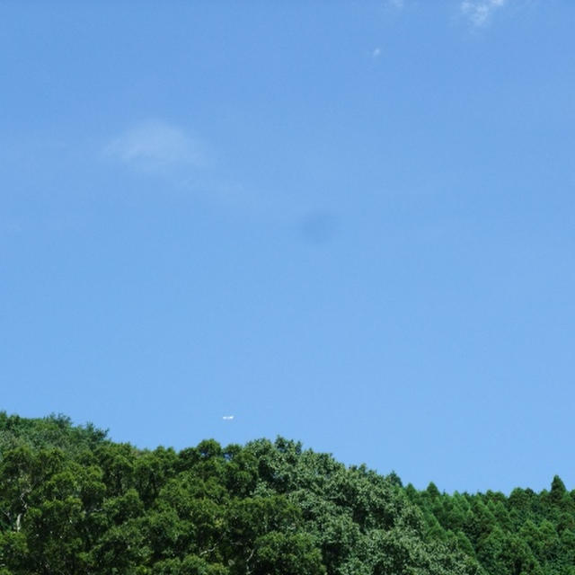 お彼岸ですね。