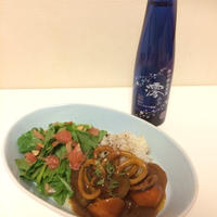 澪とイカカレーのパーティレシピ