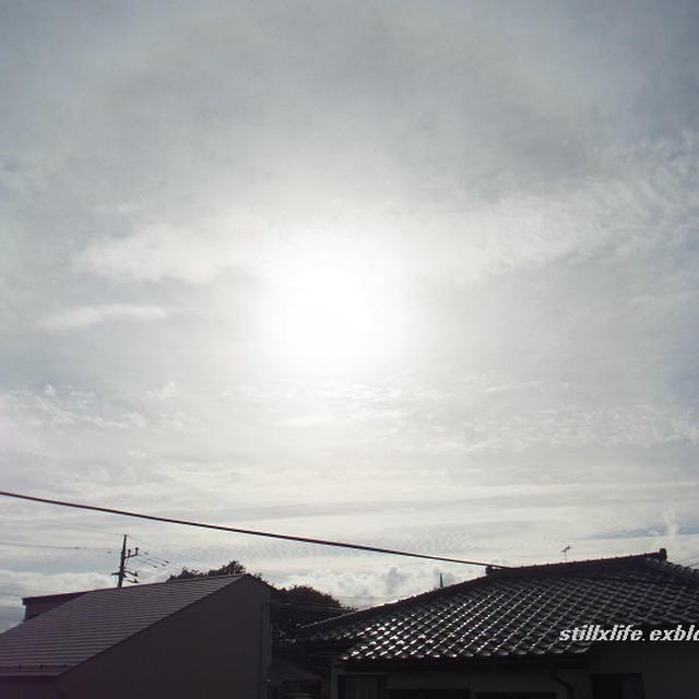 日暈（2012年9月27日）　　　　　