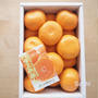 おおいたクッキングアンバサダー｜大分県産ハウスみかん
