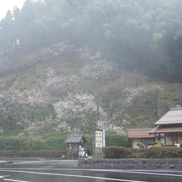 世界遺産　石見銀山旅行記