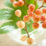 Photo lesson  2013.9.  難しい