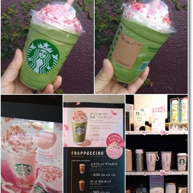 【スタバ新作】さくら咲くサク抹茶フラペチーノと６歳児王子が韓国人モデルみたい(笑)