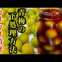 青梅の下処理&アク抜き方法からカリカリ梅の醤油漬け作り方！
