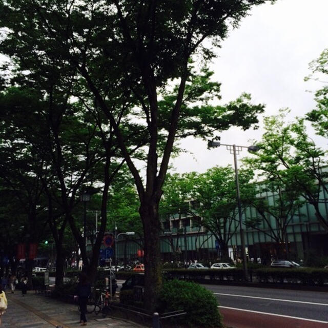 表参道、ぶん散歩(ФωФ)