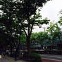 表参道、ぶん散歩(ФωФ)