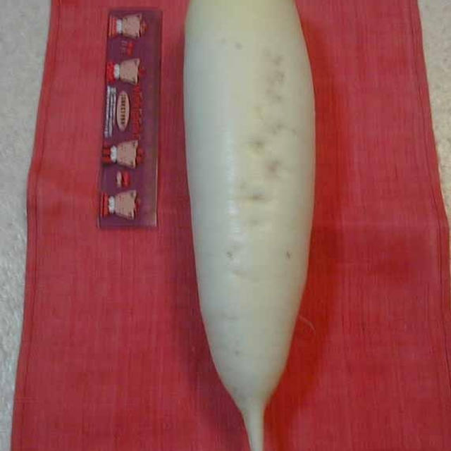 自家製大根収穫