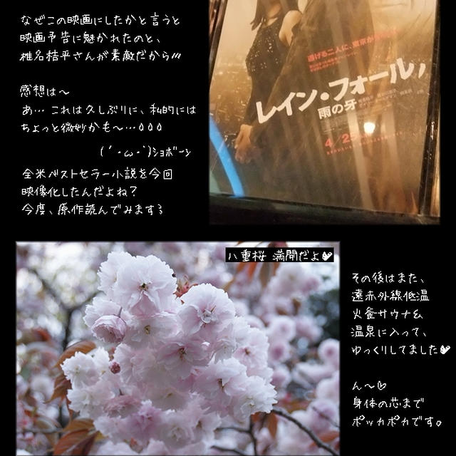 ■レイン・フォール／雨の牙■あ…これは…（(；ﾟДﾟ)ｶﾞｸｶﾞｸﾌﾞﾙﾌﾞﾙ